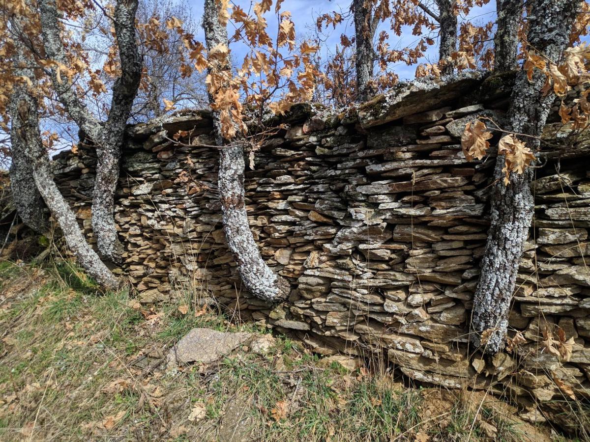 Casa Rural Fuente Del Arca Montejo Montejo de la Sierra Esterno foto